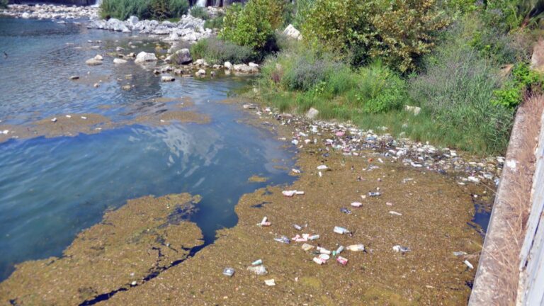 Adana’da, Seyhan Nehri’ndeki kirlilik tepki çekti