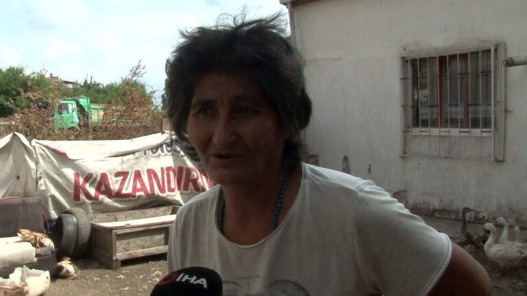 Arnavutköy’de tavukları çalınan kadının evi taşlandı