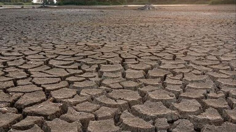 Avrupa’da yaşanan kuraklık 500 yılın en kötüsü olabilir