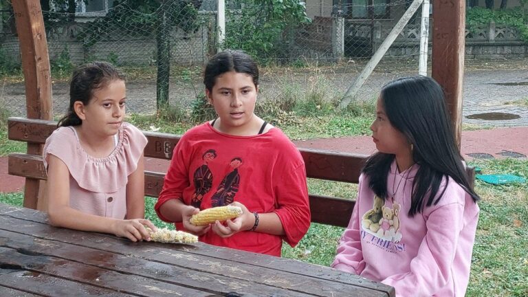 Bolu’da bahçesinden mısır alan çocukları dövdü, serbest bırakıldı