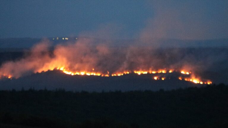 Bulgaristan’da orman yangını: Edirne’nin köylerine kadar dayandı