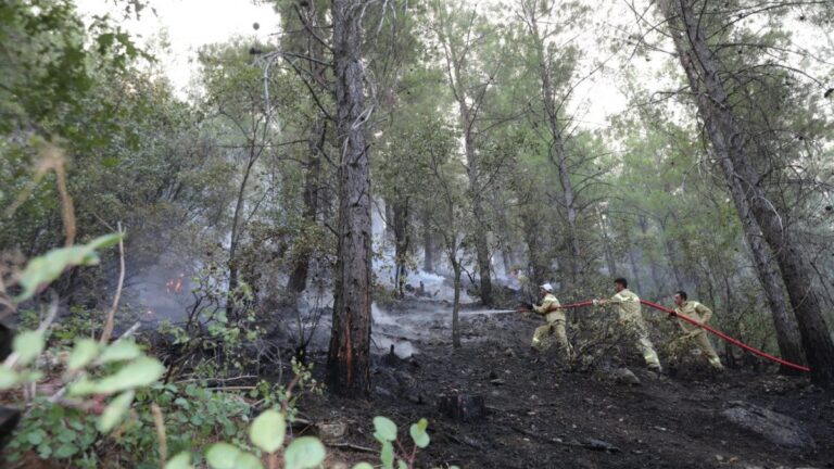 Burdur’daki orman yangını 6 saatte kontrol altına alındı