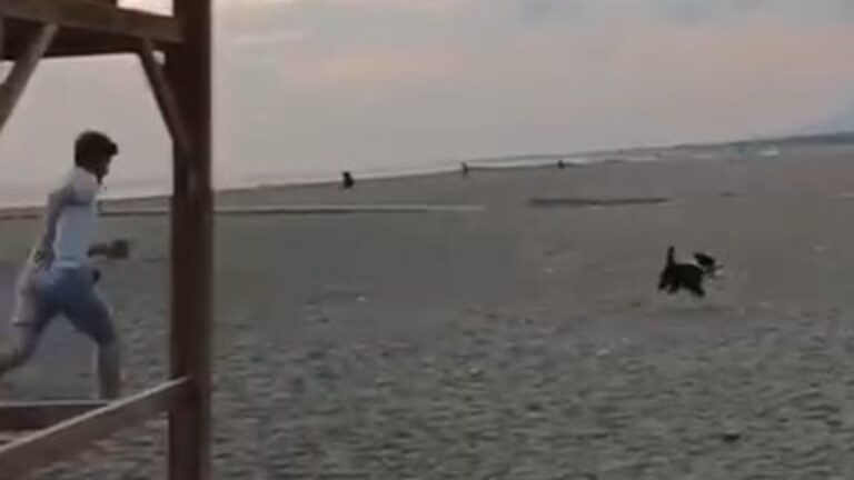 Bursa’da sahilde oturan gencin ayakkabısını köpek kaptı