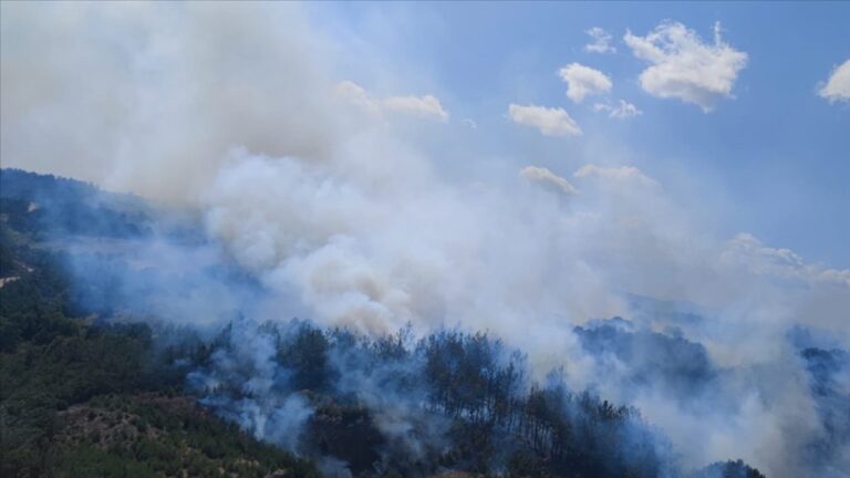 Çanakkale’de çıkan orman yangını kontrol altına alındı
