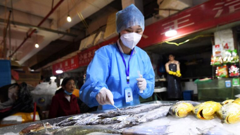 Çin’de balıklara korona testi yapılacak