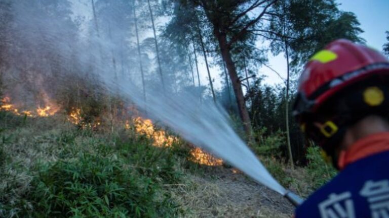 Çin’de, orman yangınları nedeniyle 1.500 kişi tahliye edildi