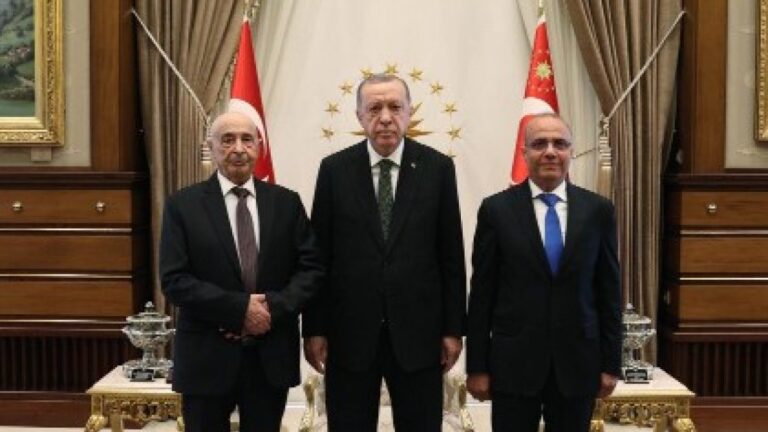 Cumhurbaşkanı Erdoğan, Libya Temsilciler Meclisi Başkanı Salih’i kabul etti 