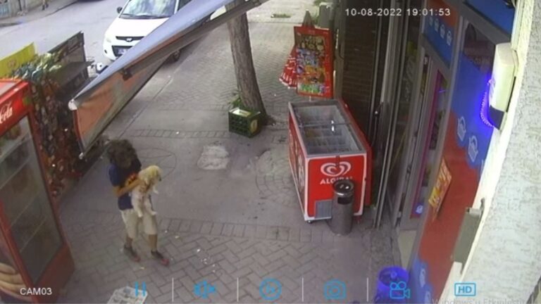 Eskişehir’de bir çocuk köpek çaldı