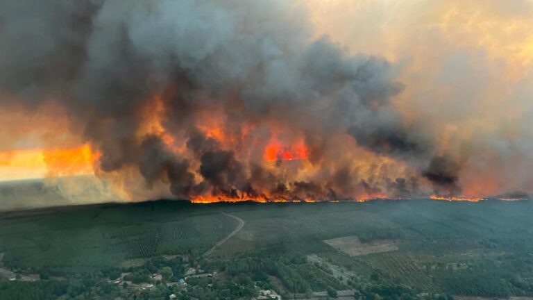 Fransa’nın güneyindeki orman yangınlarında, 6 bin hektar kül oldu