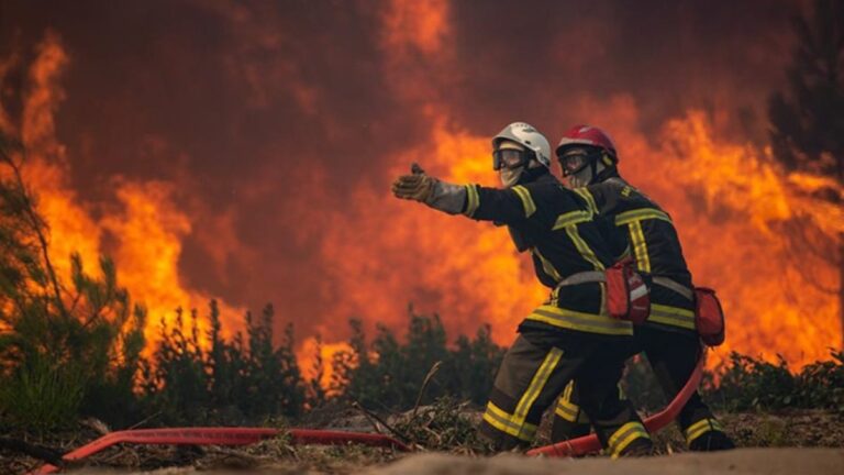 İngiltere’de bu yıl çıkan orman yangını sayısı açıklandı