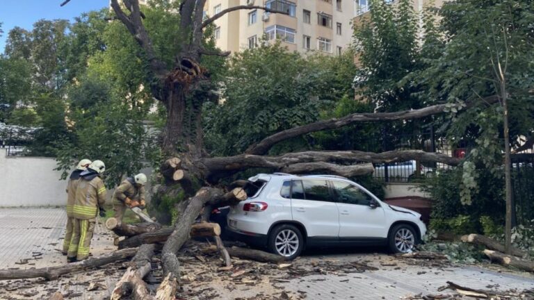 Kadıköy’de bulunan 150 yıllık meşe ağacı devrildi
