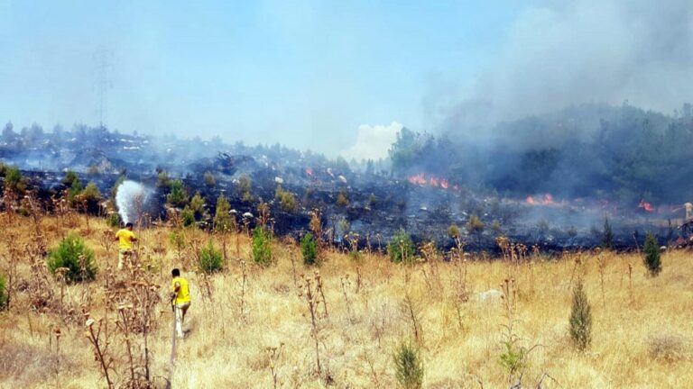 Manisa’daki ormanlık alanda yangın: 5 dönüm kül oldu