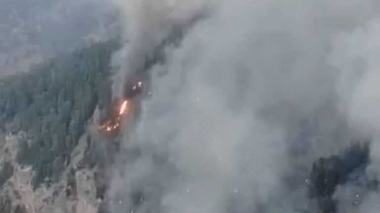 Mersin’de başlayan orman yangını 2’nci günde de devam ediyor