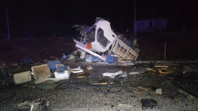 Muğla’da arı yüklü kamyonla otomobil çarpıştı: 4 ölü 3 yaralı