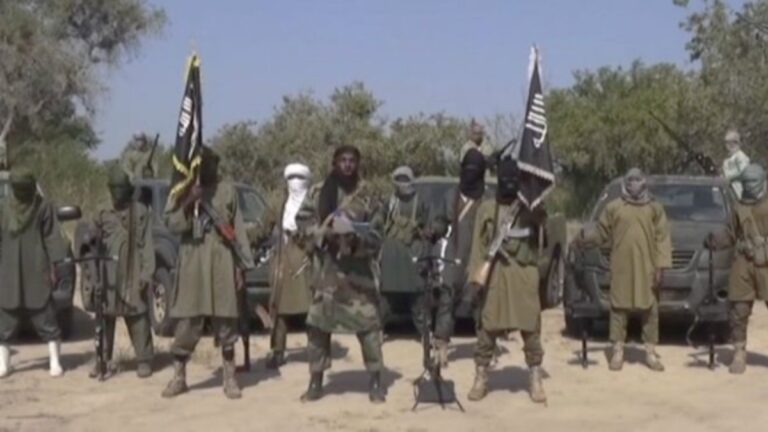 Nijerya’da 29 Boko Haram üyesi öldürüldü