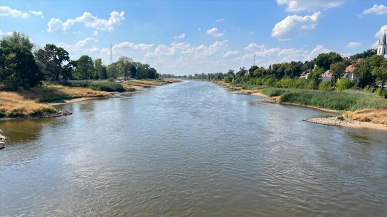 Polonya’da, nehirde toplu balık ölümleri yaşandı