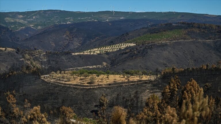 Portekiz, orman yangınlarına karşı alarmda