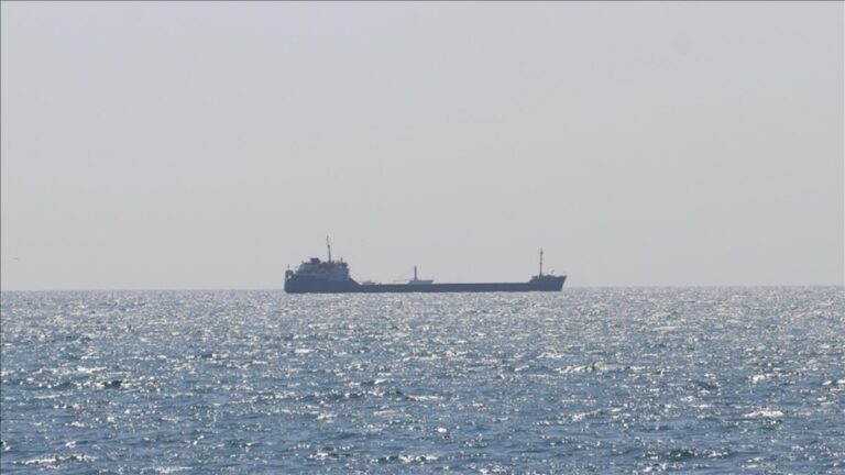 Tahıl yüklü bir gemi daha Ukrayna limanlarından ayrıldı