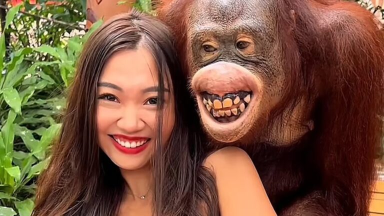 Tayland’da orangutan, kadın turisti taciz etti