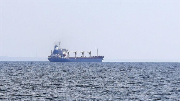 Ukrayna limanlarından 4 gemi daha yola çıktı
