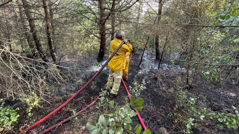 Uludağ’ın eteklerindeki orman yangını kontrol altına alındı
